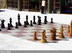 wood_giant_chess_29