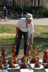 wood_giant_chess_35
