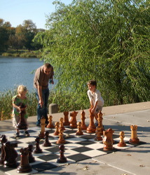wood_giant_chess_46