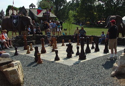 wood_giant_chess_56