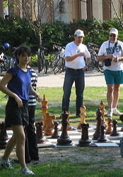 wood_giant_chess_59