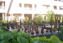 wood_giant_chess_60