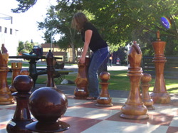 wood_giant_chess_66