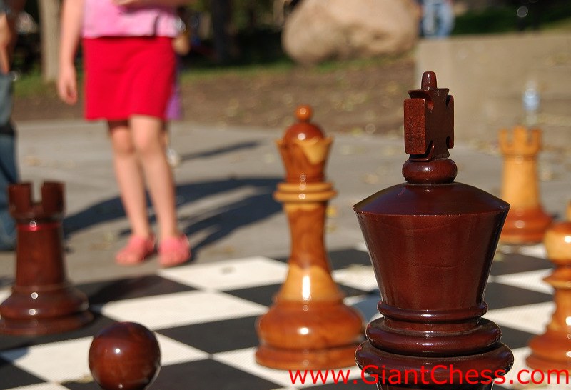 wood_giant_chess_12.jpg