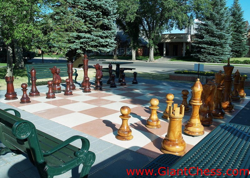 wood_giant_chess_14.jpg