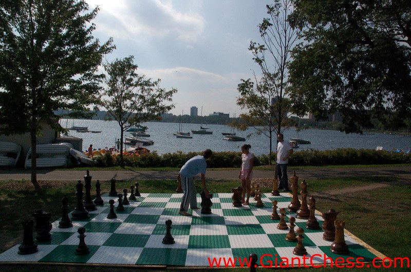 wood_giant_chess_36.jpg