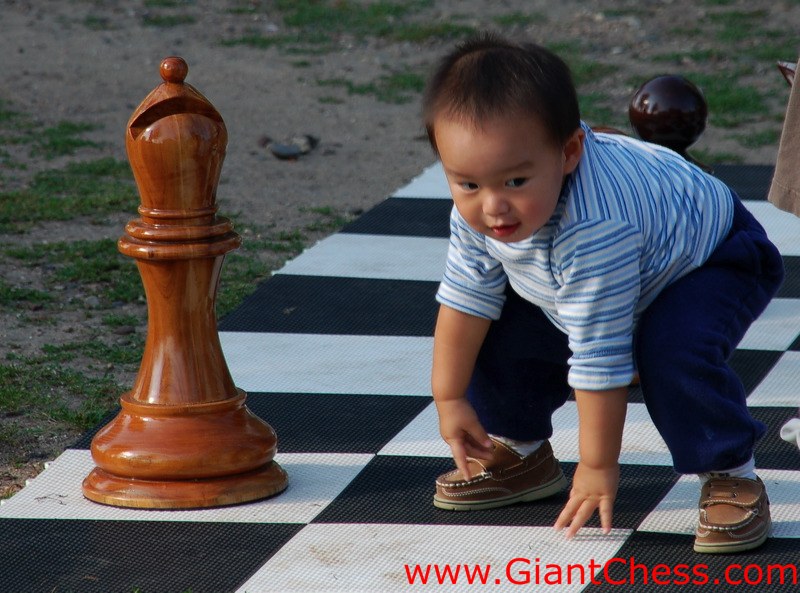 wood_giant_chess_42.jpg