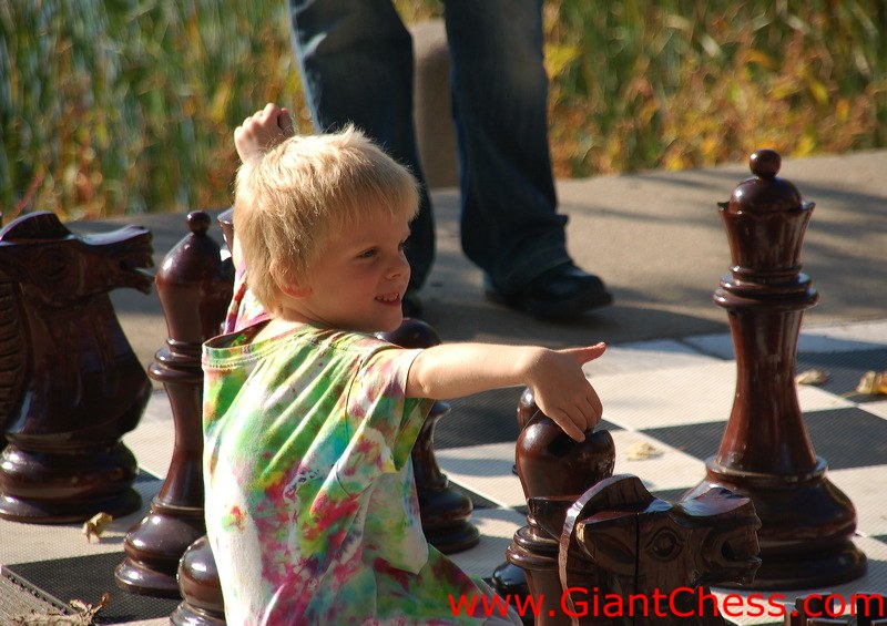 wood_giant_chess_43.jpg