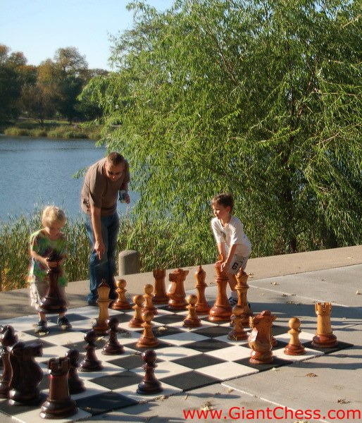 wood_giant_chess_46.jpg