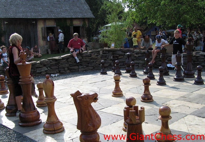 wood_giant_chess_53.jpg
