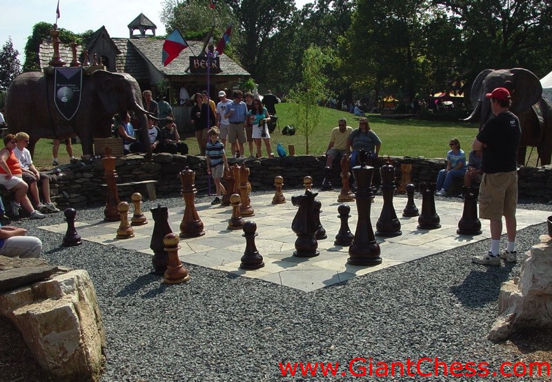wood_giant_chess_56.jpg