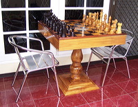 chess game