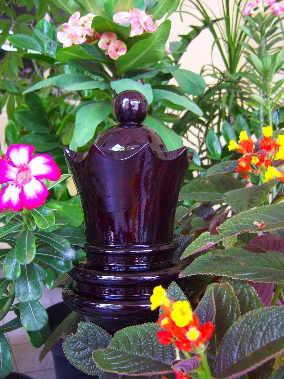 Thumbnail for The Majesty of a Beautiful Teakwood Queen