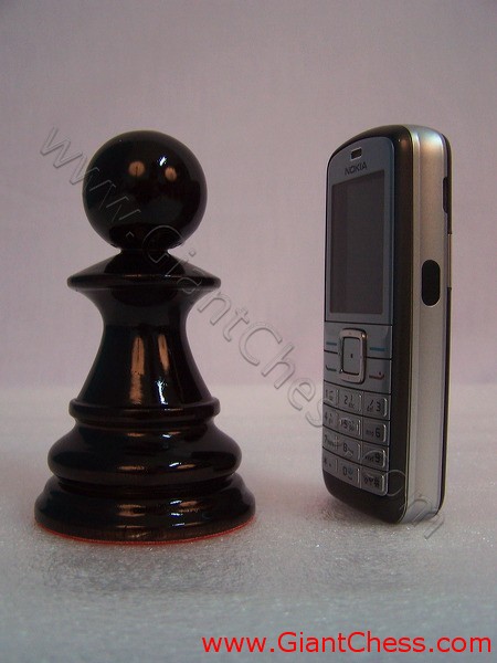 chess_pawn_pieces_8_24.jpg