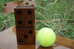 wooden_giant_dominoes_10