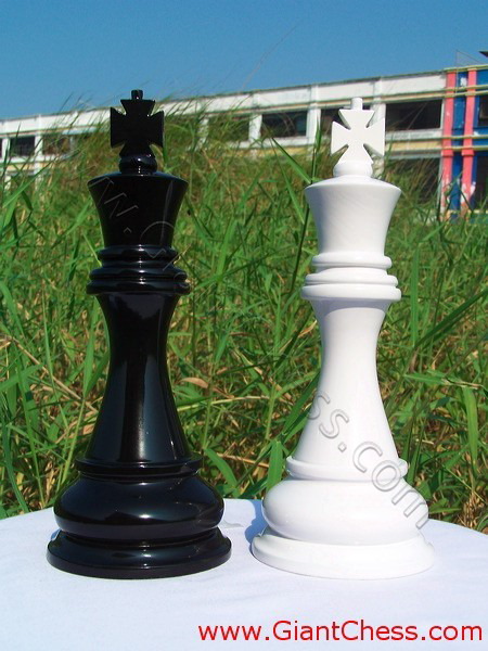 color_chess_set_08.jpg