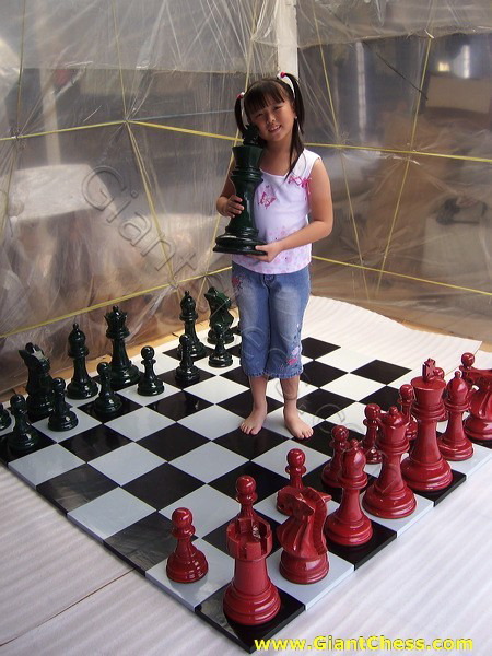 color_chess_set_10.jpg