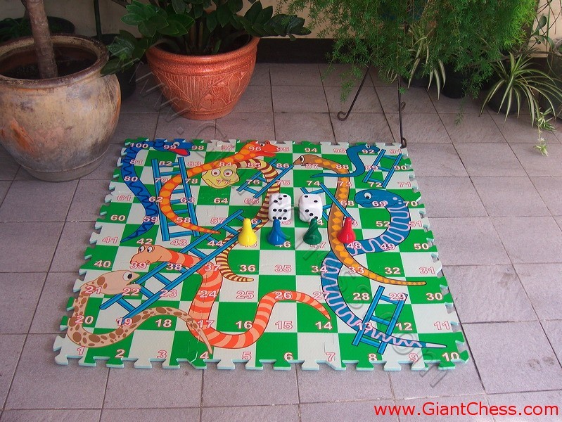 snake_ladder_game_04.jpg