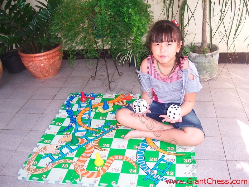 snake_ladder_game_07.jpg