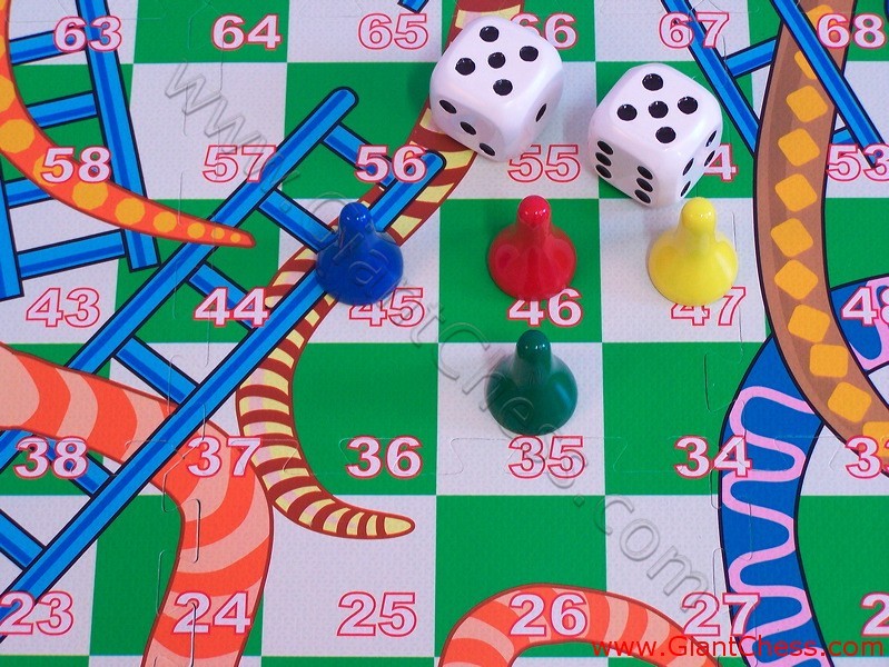 snake_ladder_game_10.jpg