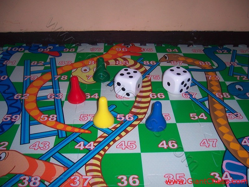 snake_ladder_game_18.jpg