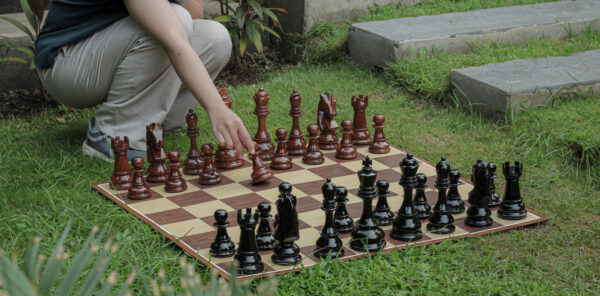 8" Chess Set - Image 6